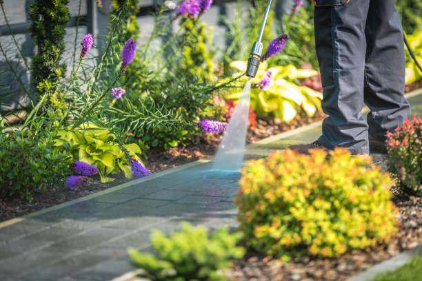 Reliable Viola, IL Pressure Washing Services Solutions